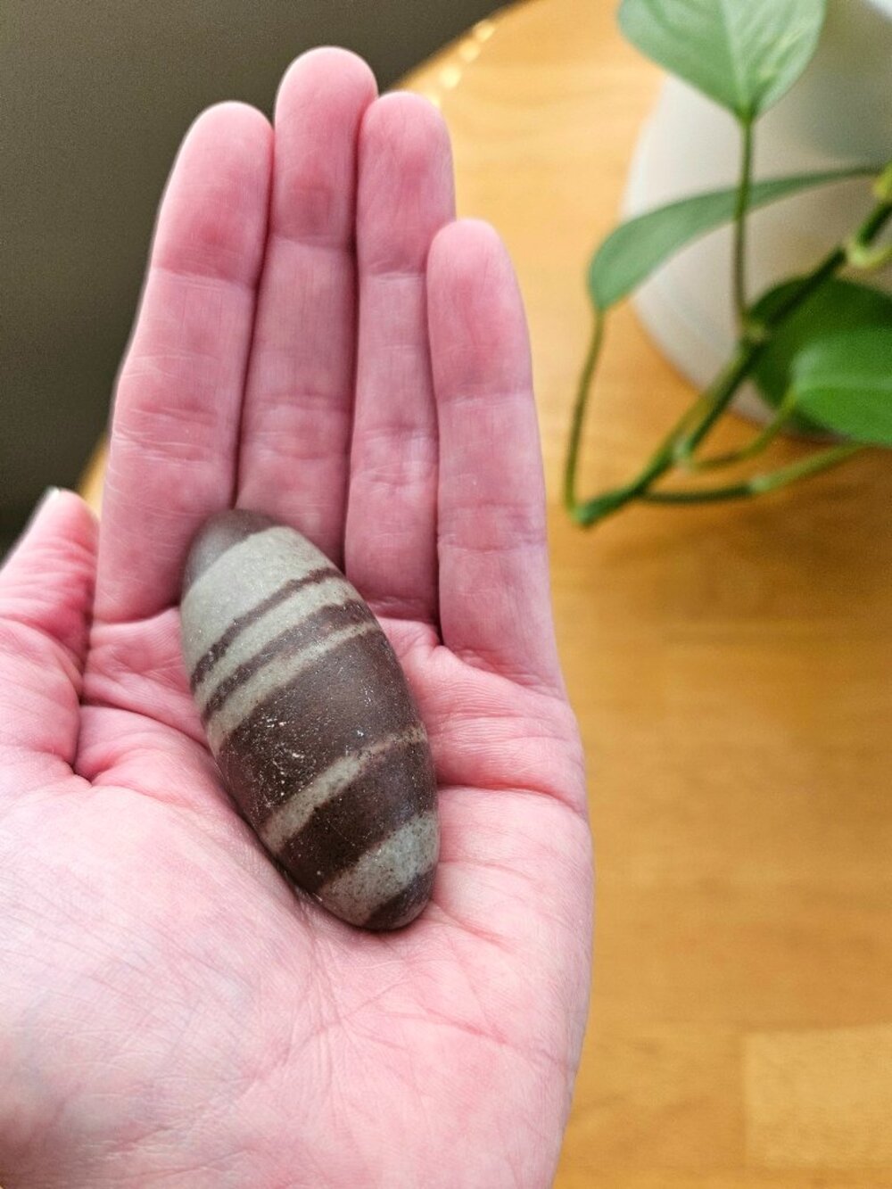 Shiva Lingam Banded Pocket Palm Stone